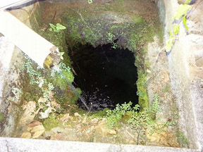 foto52